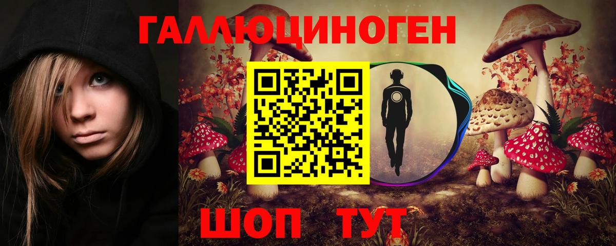 купить наркотик  Псилоцибиновые грибы Psilocybe  Вход с VPN  Рославль  Галлюциногенные грибы мухоморы 